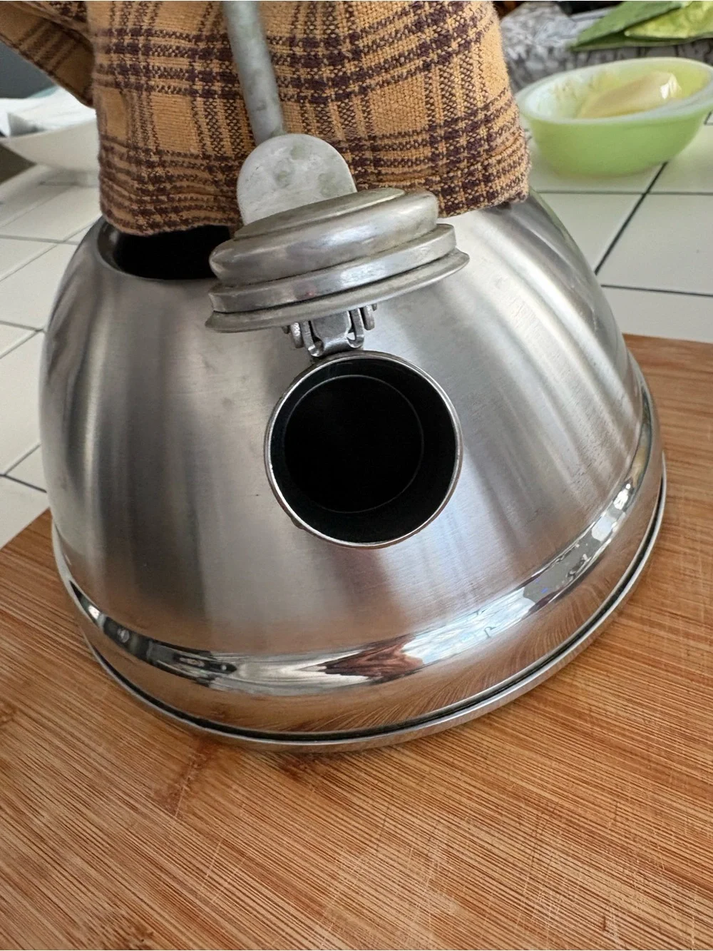Stainless Steel Whistling Tea Kettle - Brushed Silver